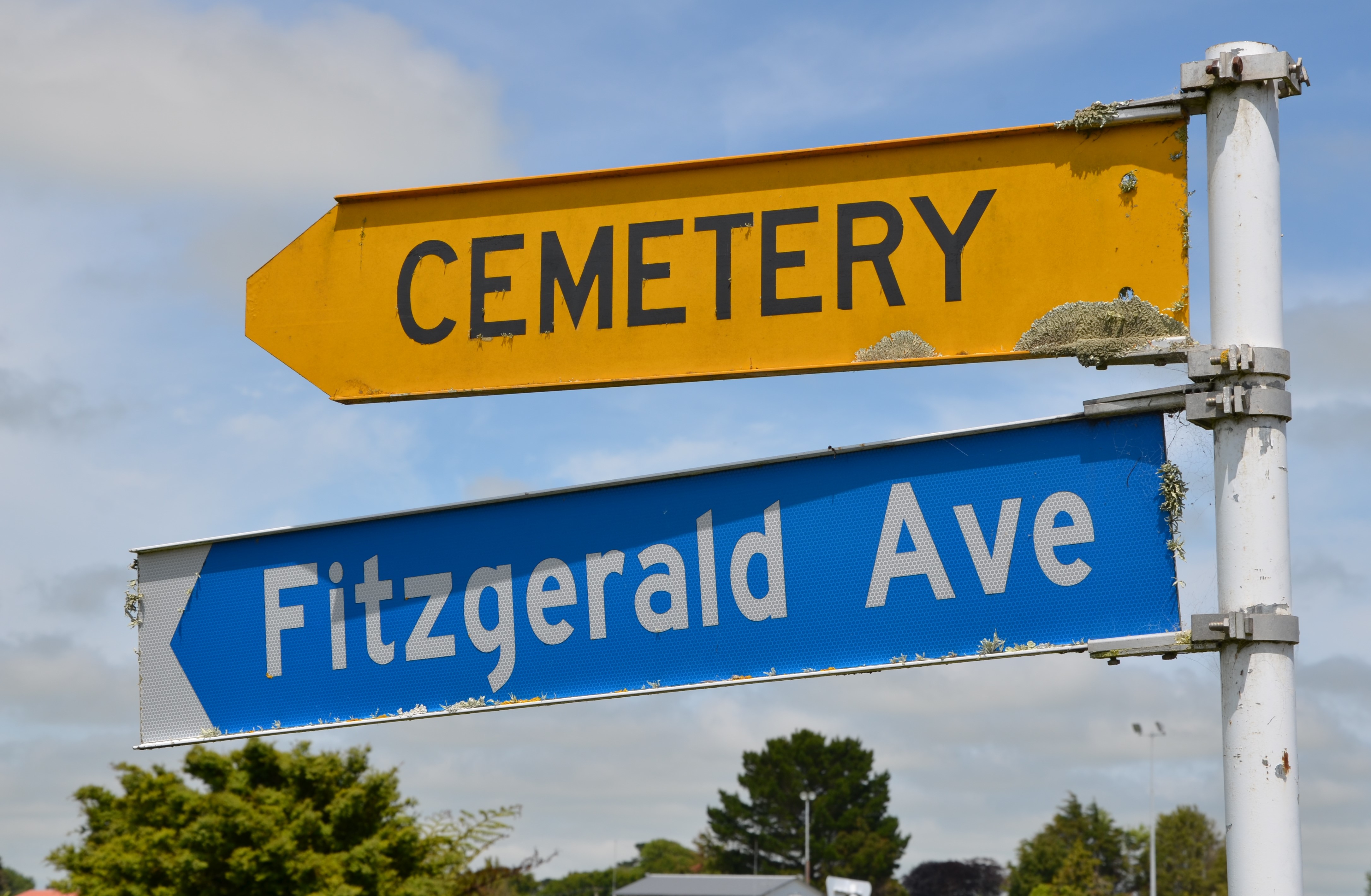 Fitzgerald_Ave.jpg