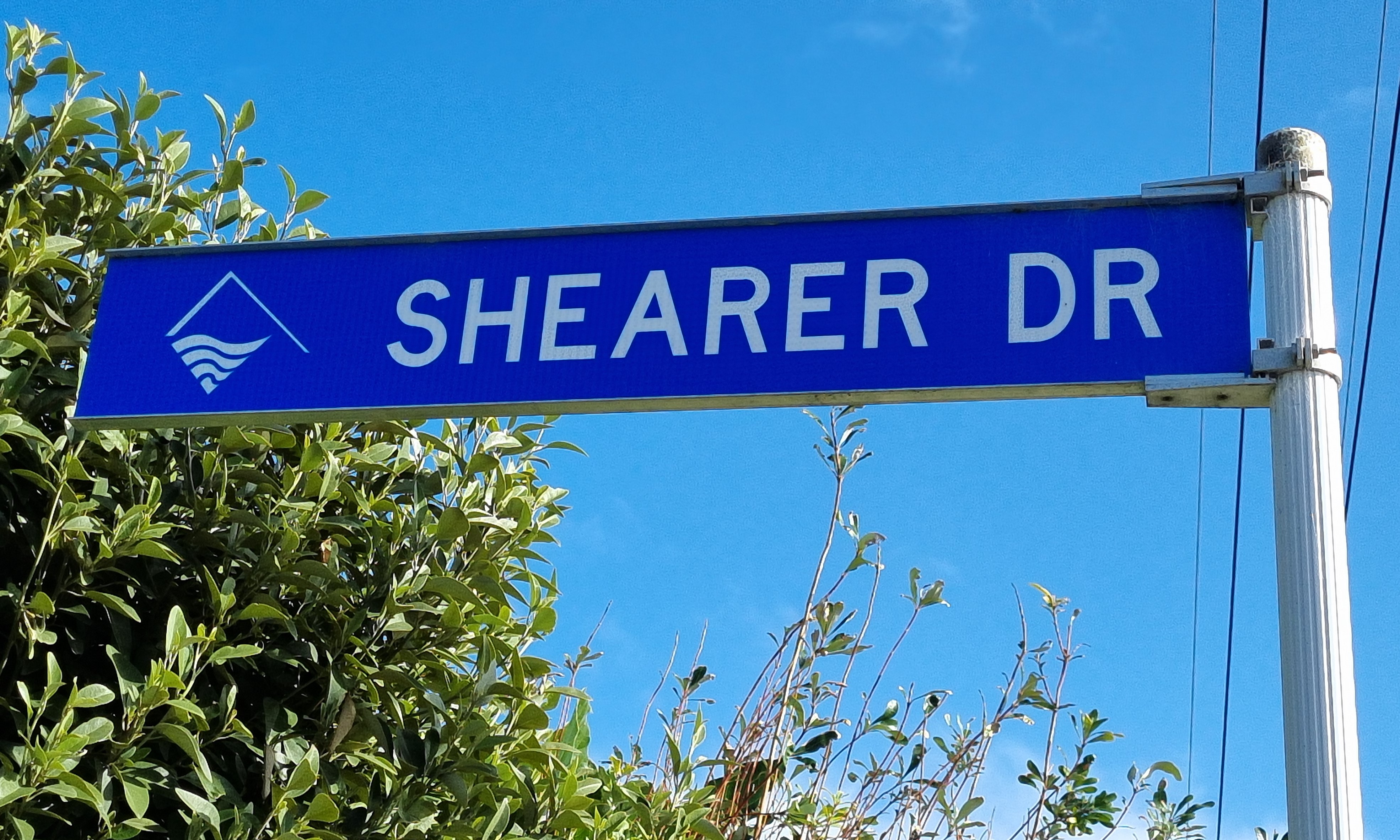 Shearer Drive street sign.jpg