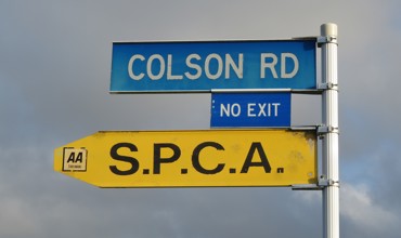 Colson Road street sign (2024). Rachel Sonius. Word on the Street image collection.