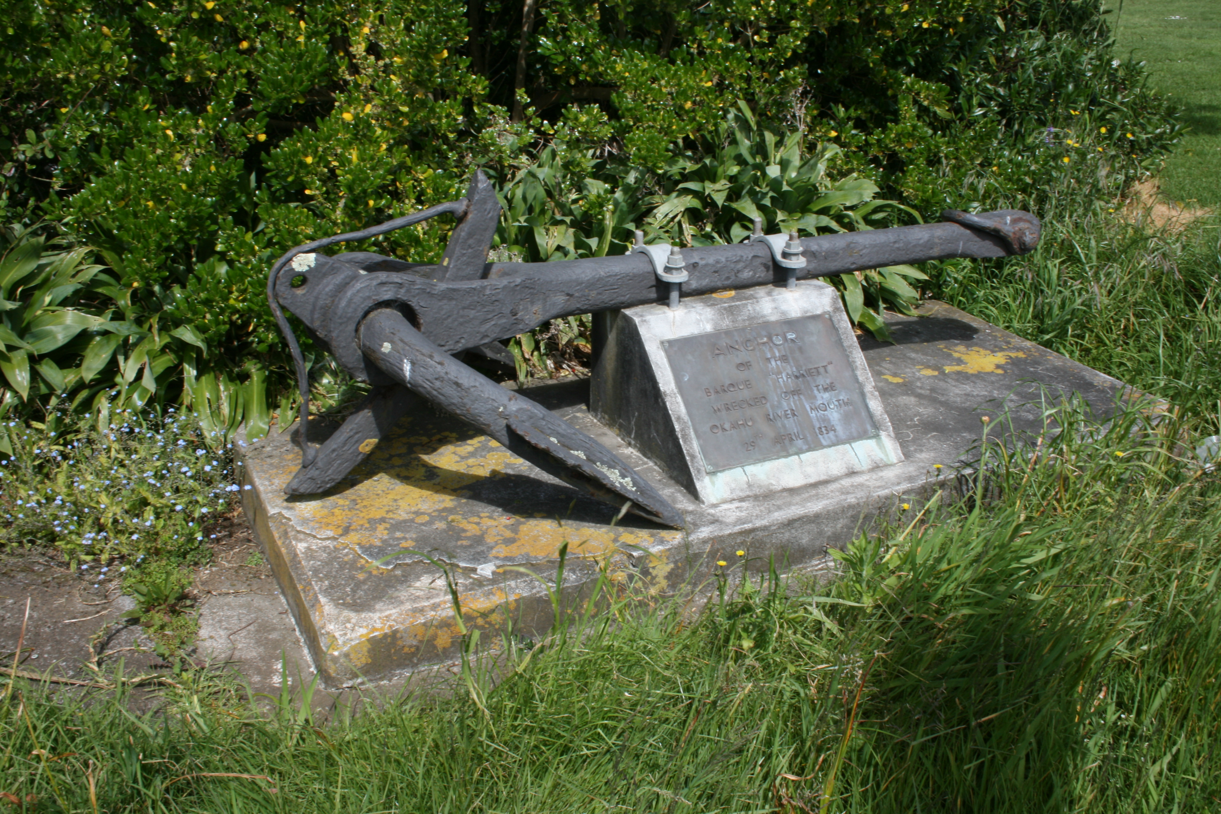Harriett_Anchor_001.jpg