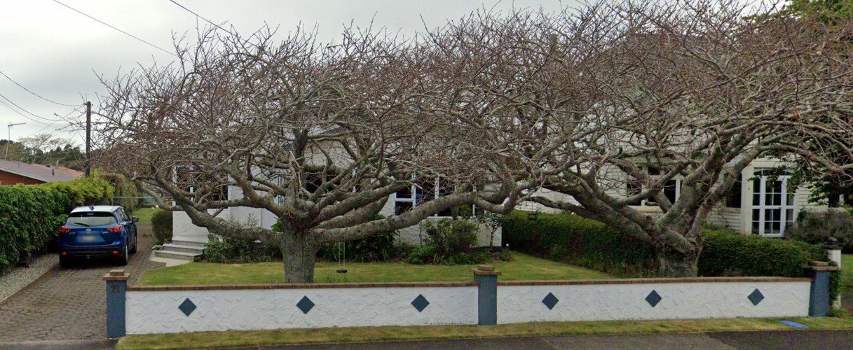 Google Street View 2022