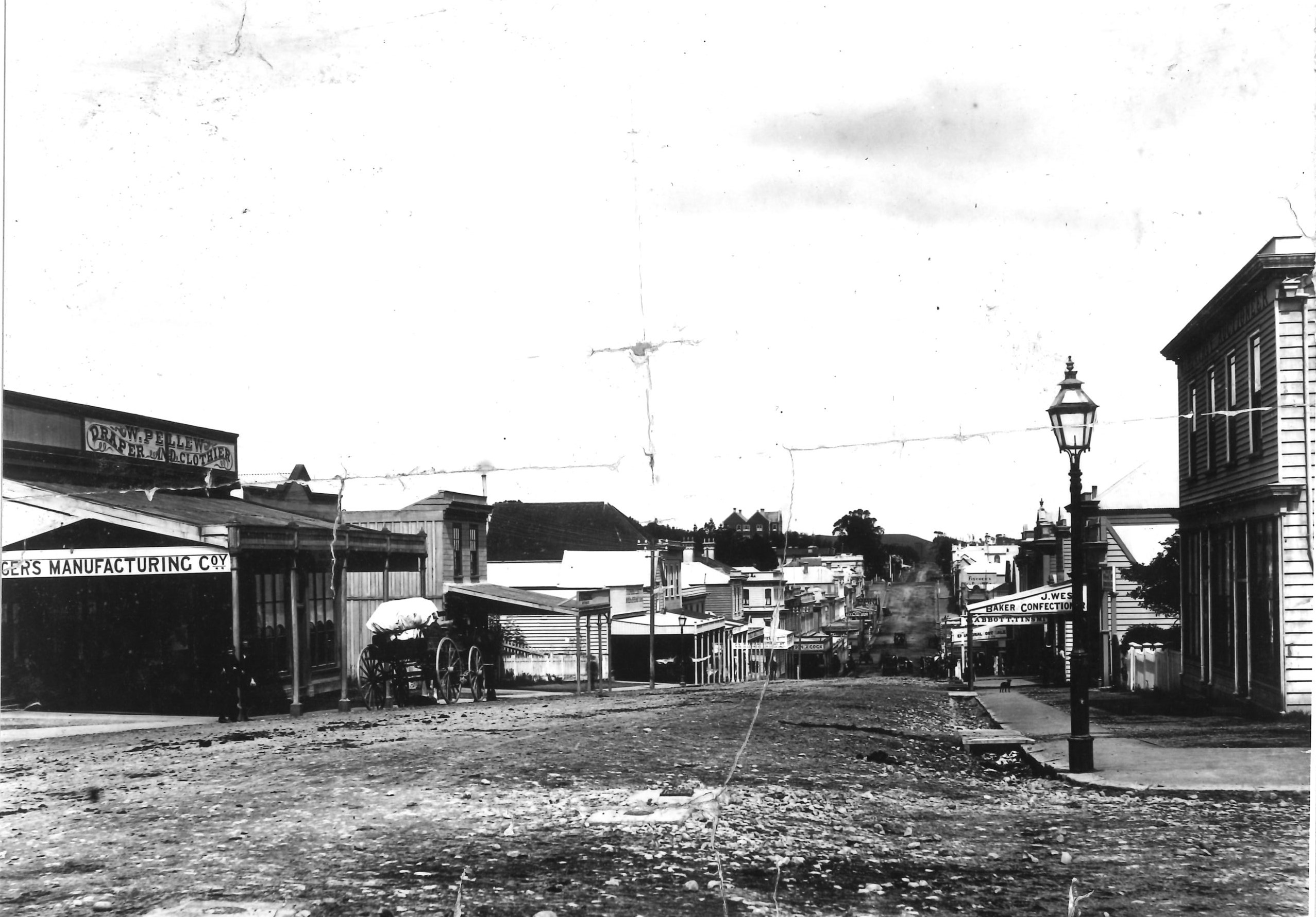 Looking_west_from_Liardet_after_1891_edit.jpg