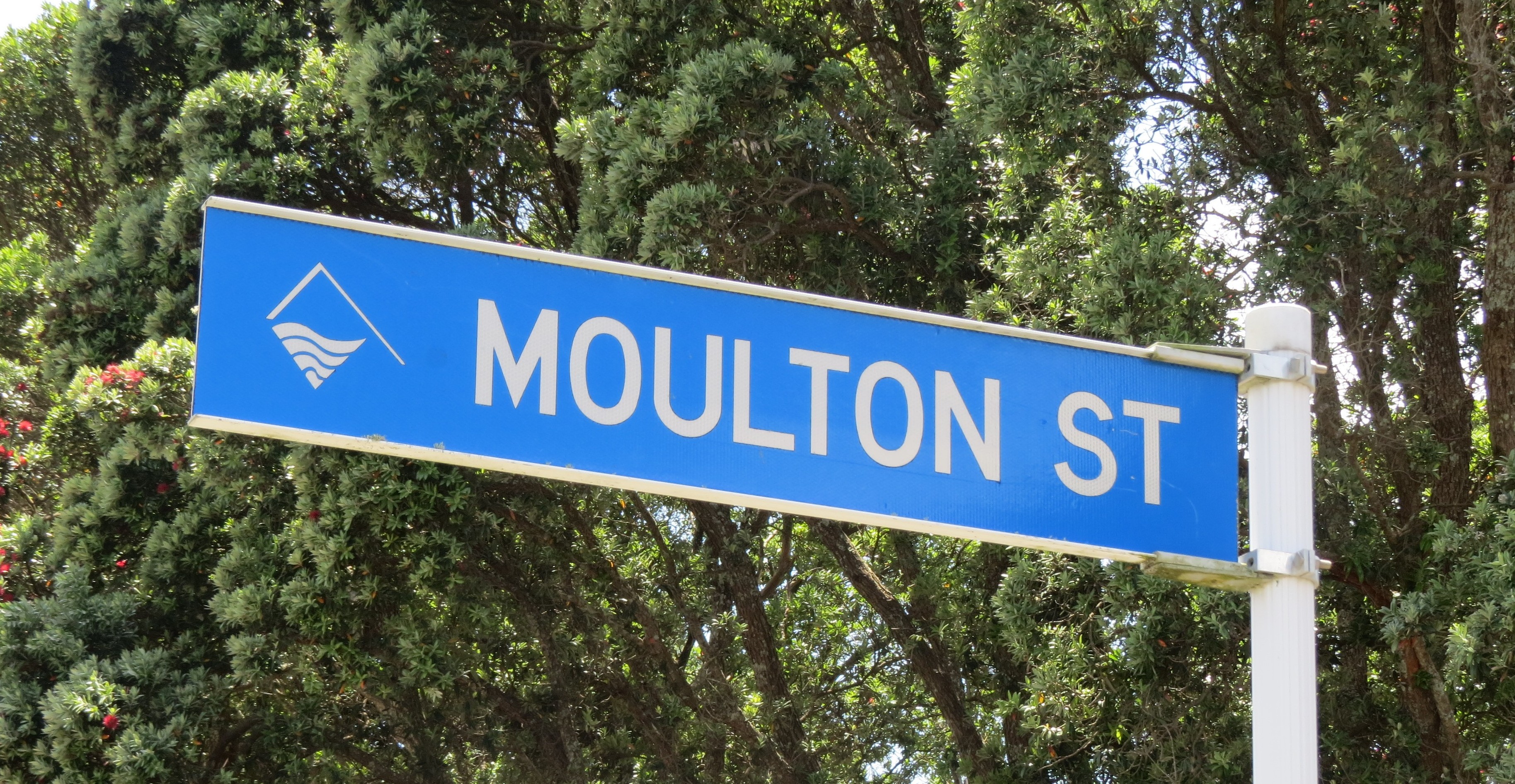 Moulton Street (2025). Rachel Sonius. Word on the Street image collection.