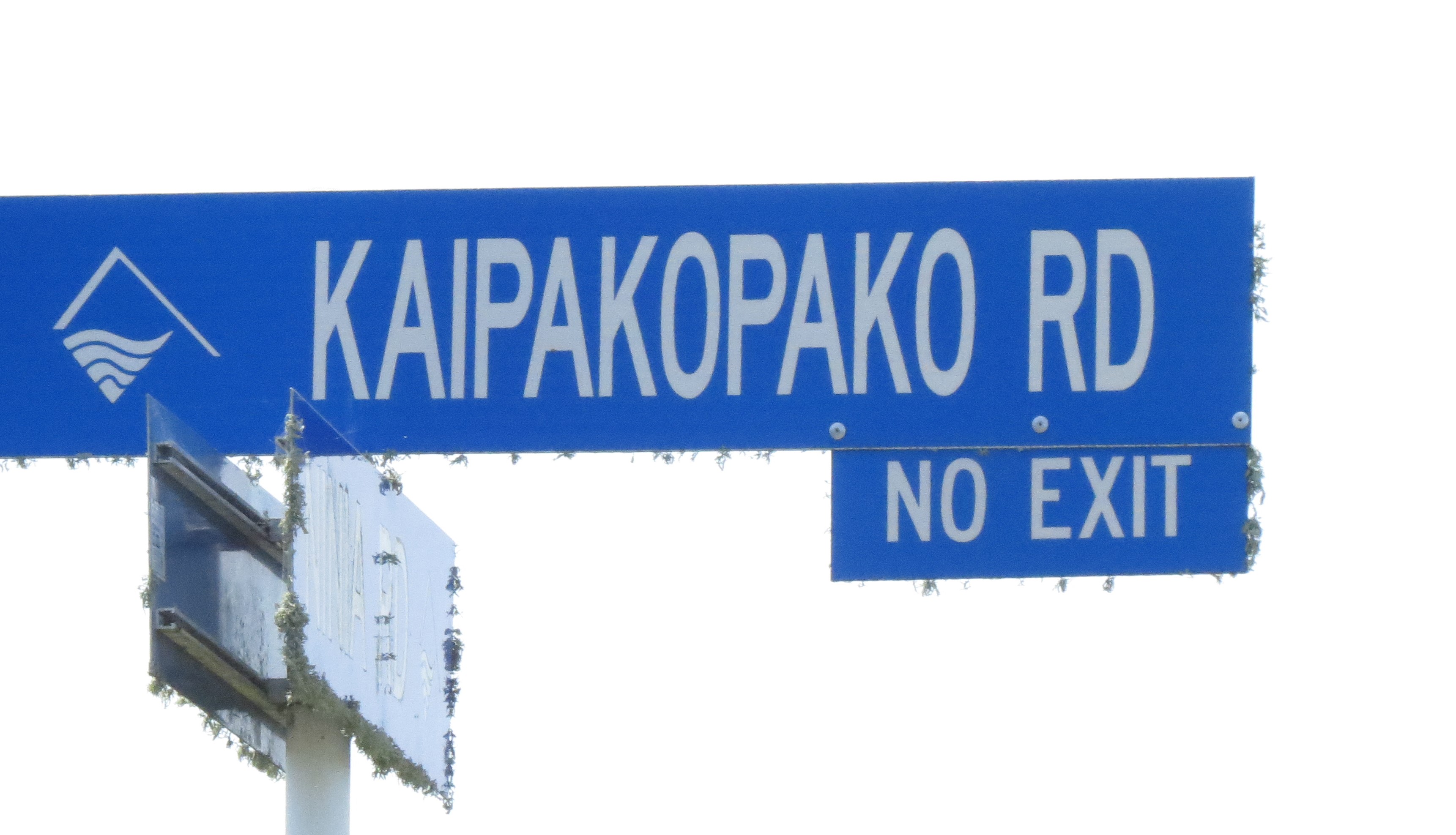 Kaipakopako Road sign (2020). Rachel Sonius. Word on the Street image collection.