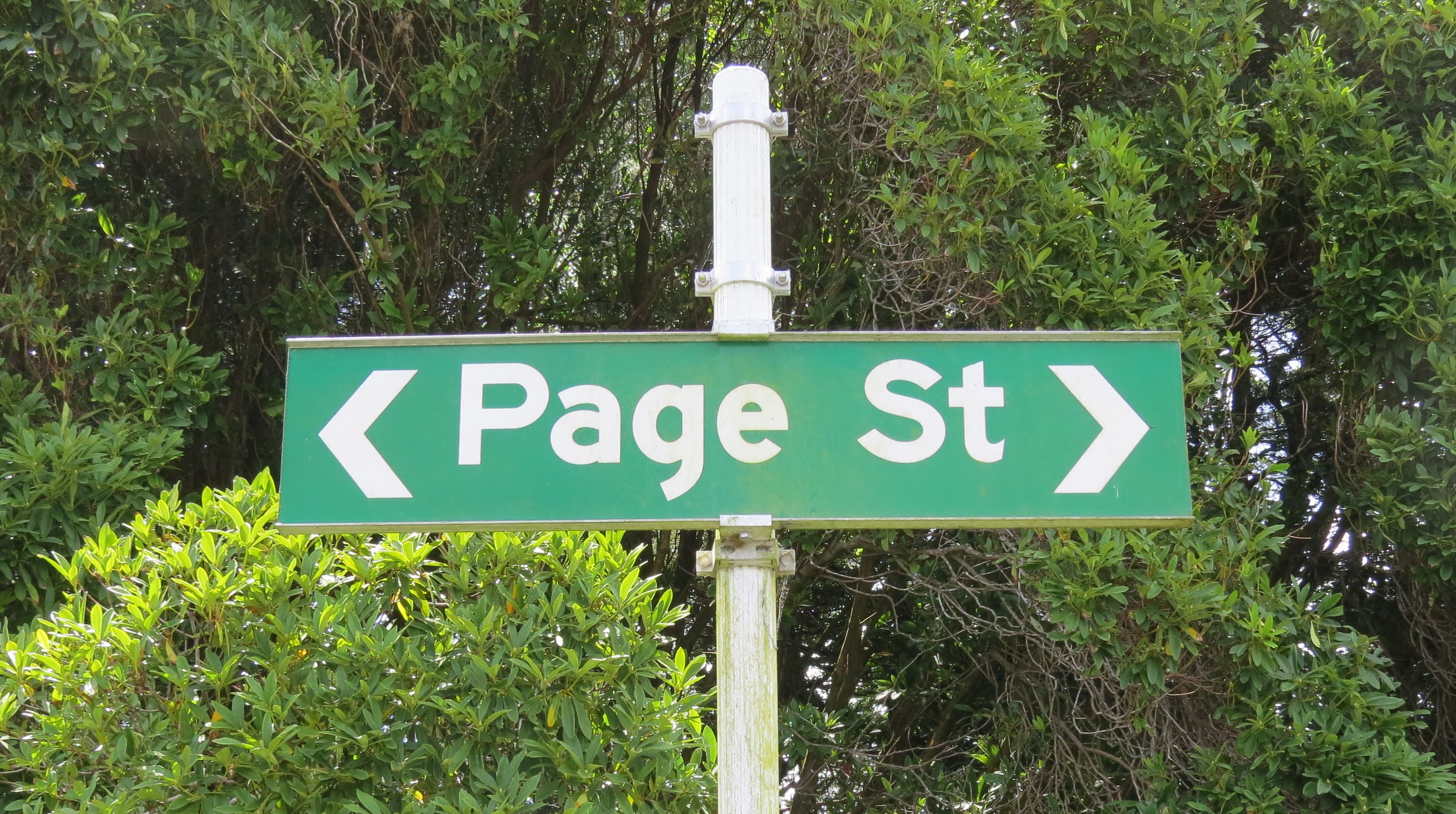 Page Street sign (2024). Rachel Sonius. Word on the Street image collection.