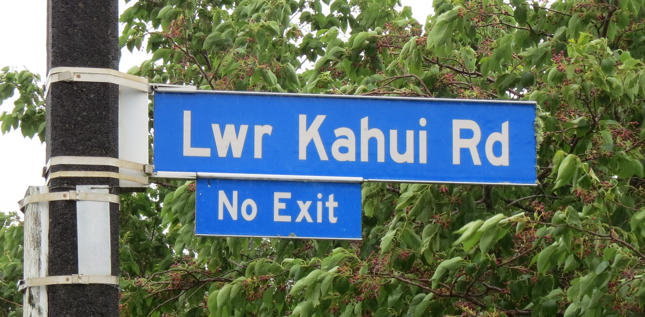 Kahui Road sign (2024). Rachel Sonius. Word on the Street image collection.