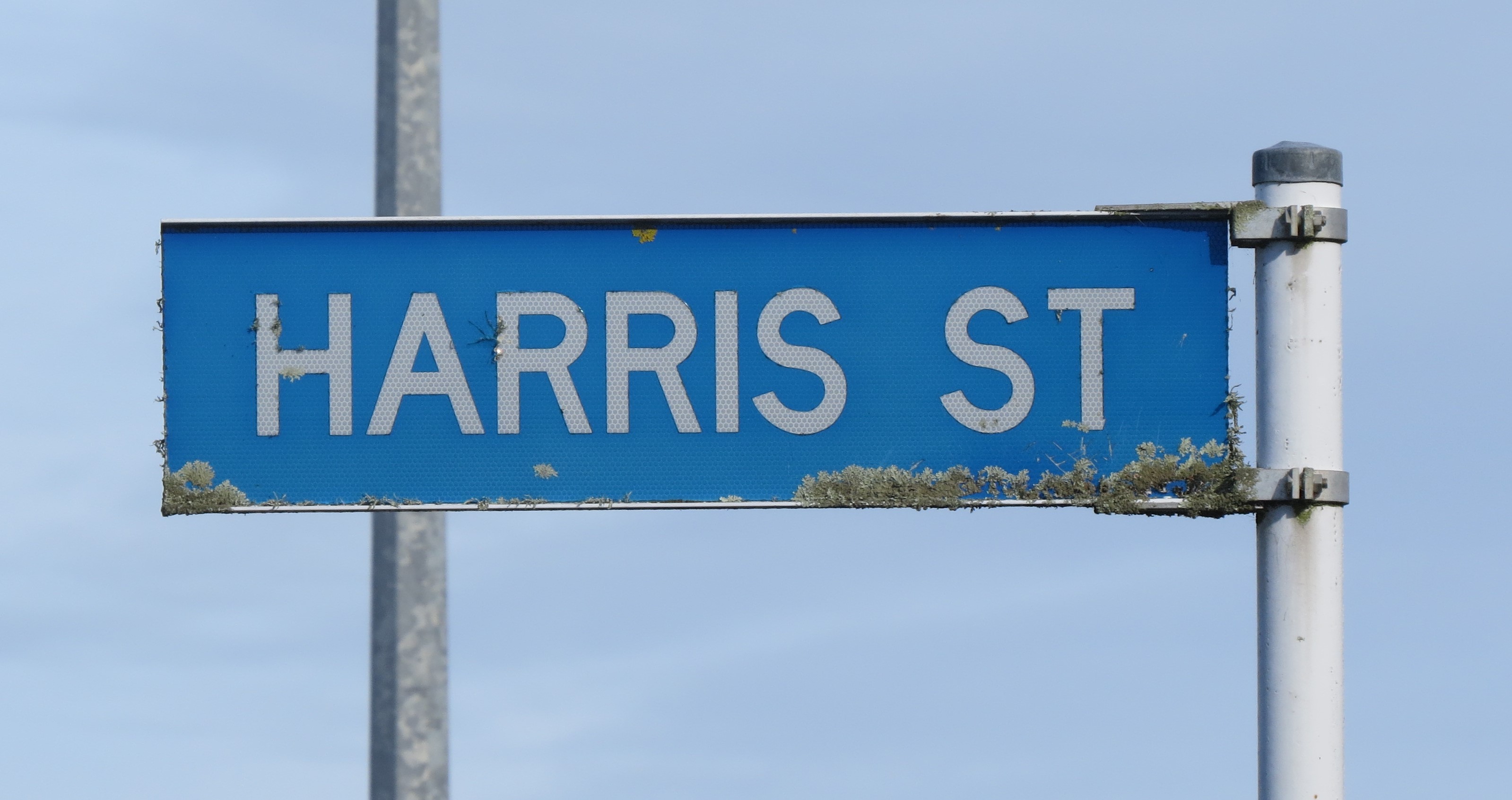 Harris Street sign (2021). Rachel Sonius. Word on the Street image collection.